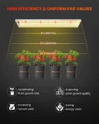 Spider Farmer SF300 33W LED Grow Light